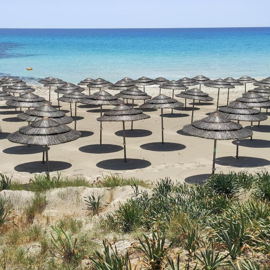 Narcissos Nissi Beach Apartment C16 ไอยานาปา ภายนอก รูปภาพ